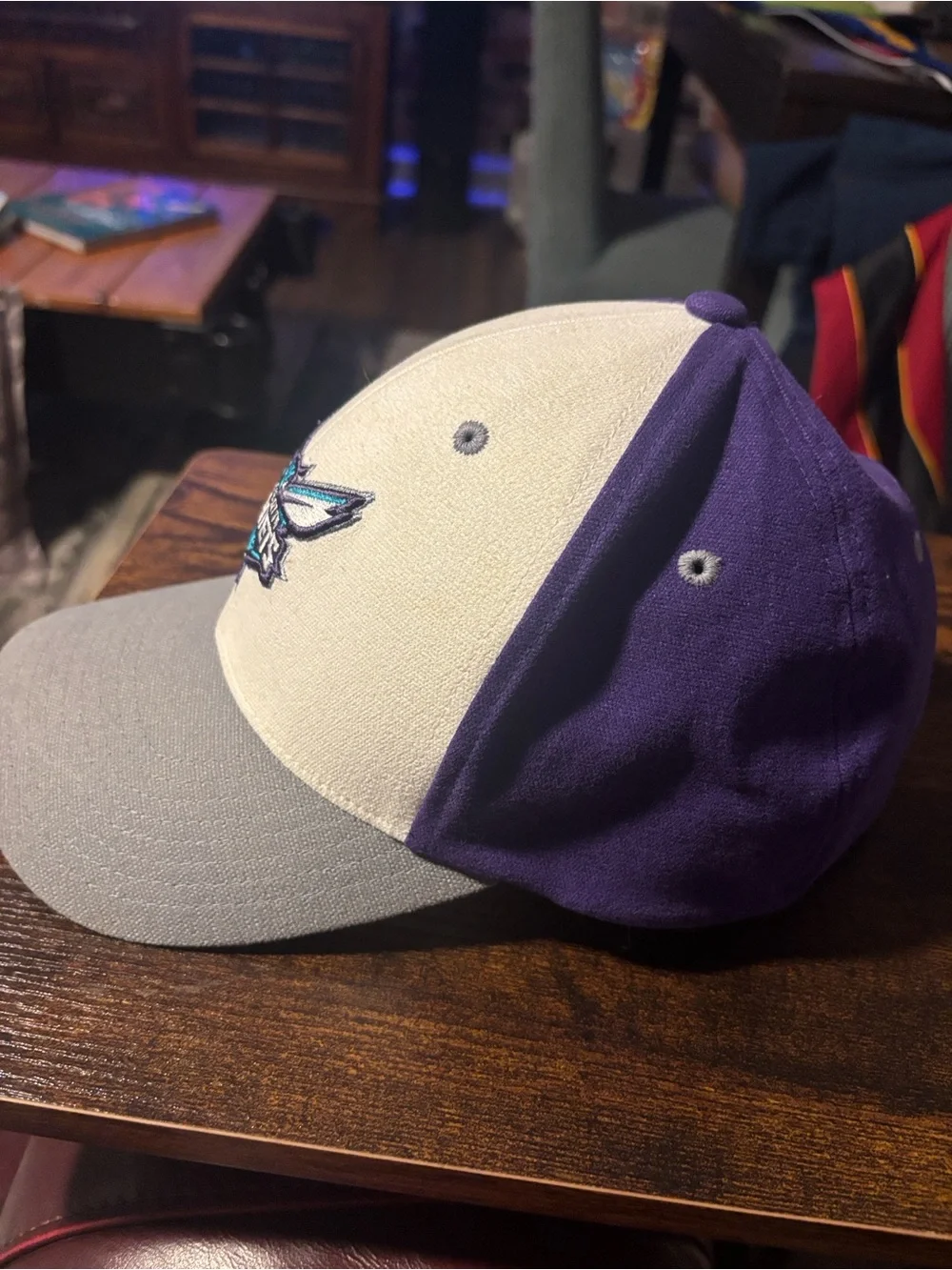 Jordan Charlotte Hornets Panel Cap in Purple, Cream & Gray